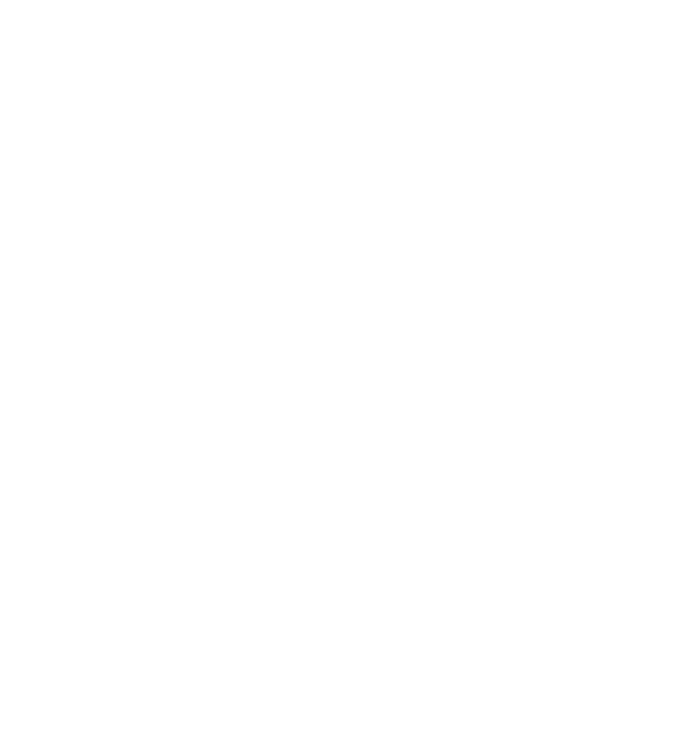 Volkswagen Service